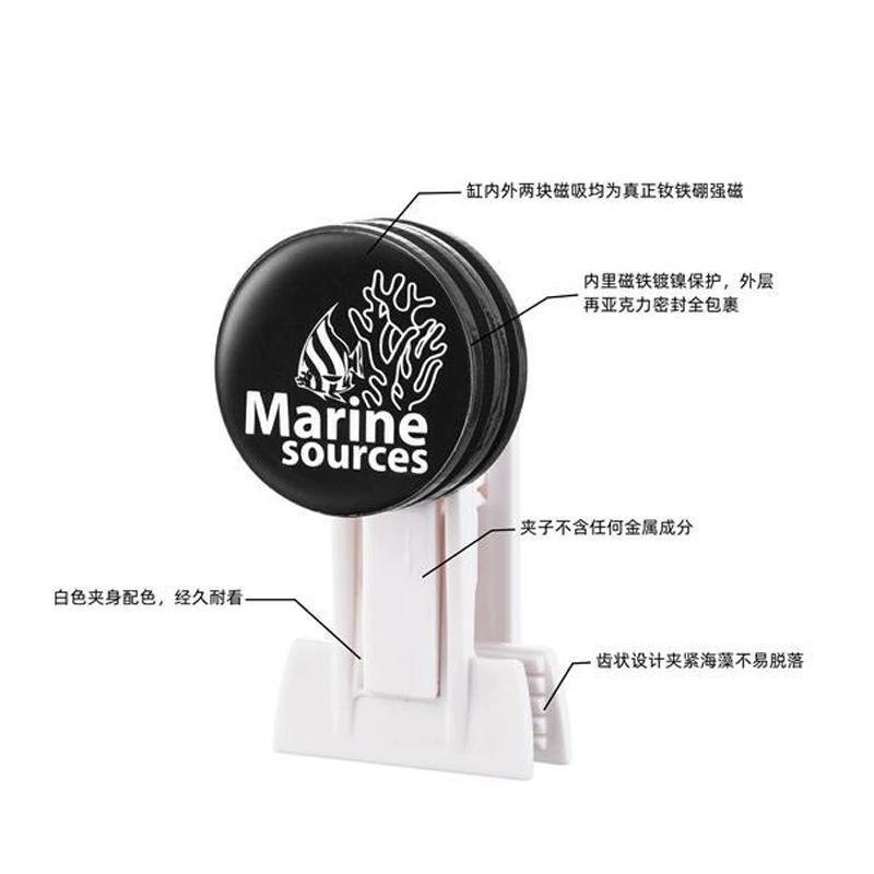 Haizhiyuan Meerwasser Aquarium – Seaweed Snack Bewertung und Preis