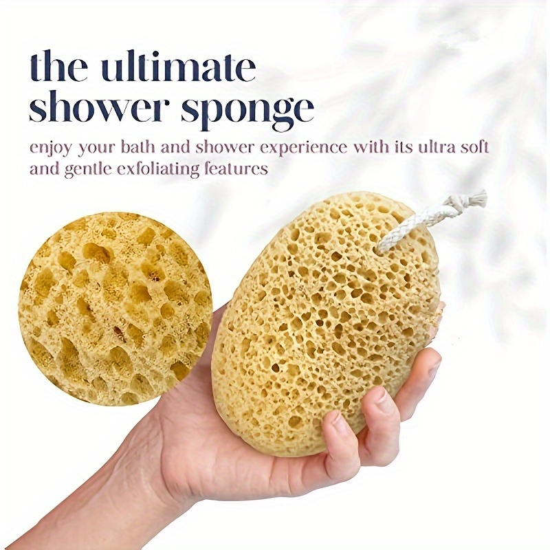 Unisex-Algenschwamm, Badeblase – Seaweed Snack Bewertung und Preis